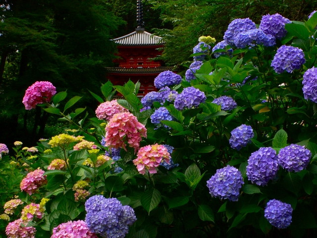 岩船寺から浄瑠璃寺へ 奈良の景色 写真 雑記